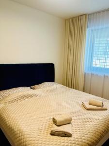 OLIS Apartment Bojnice